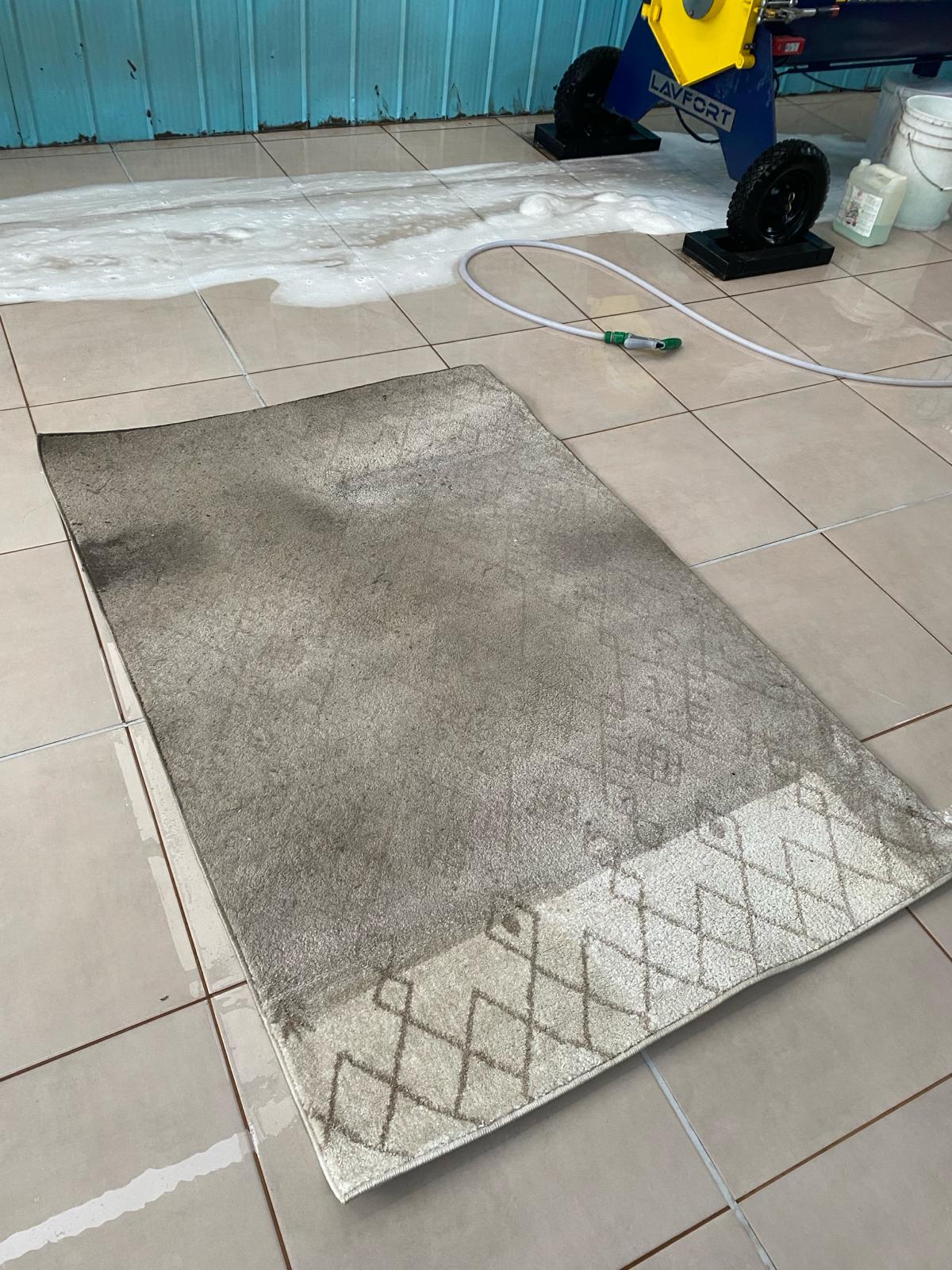 Proceso de lavado profesional