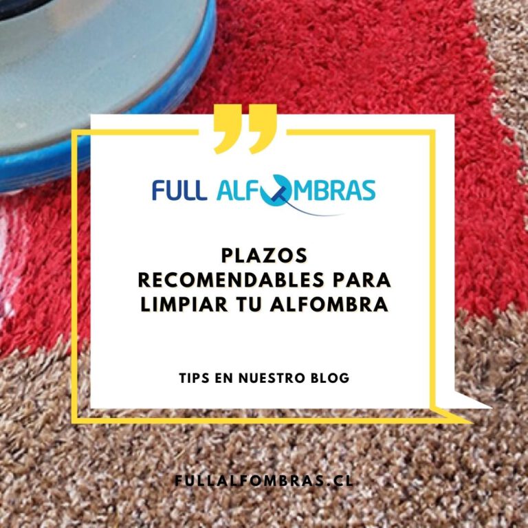 Plazos recomendables para limpiar tu alfombra