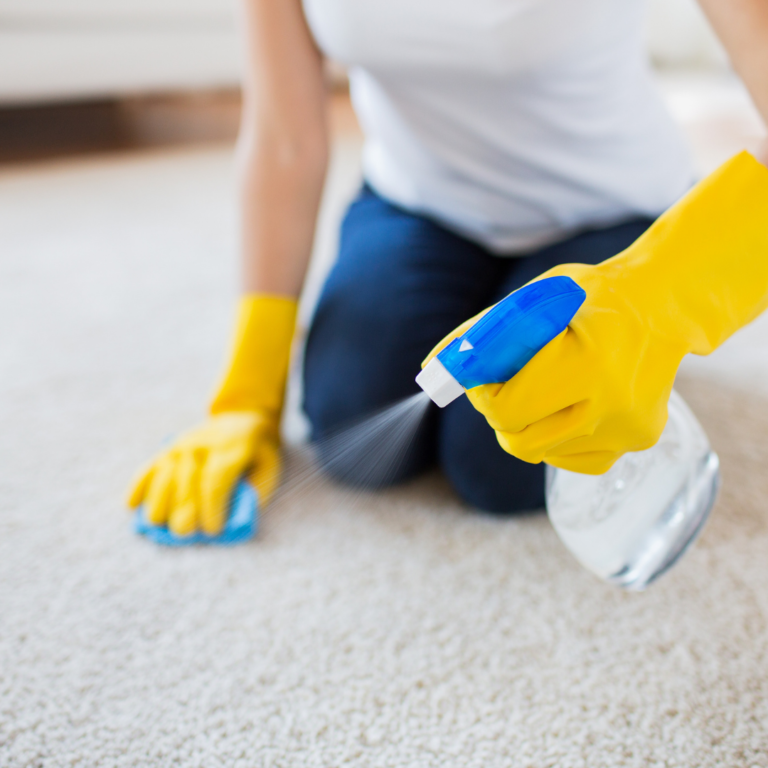 Cada Detalle Cuenta: La Clave para un Hogar Impecable