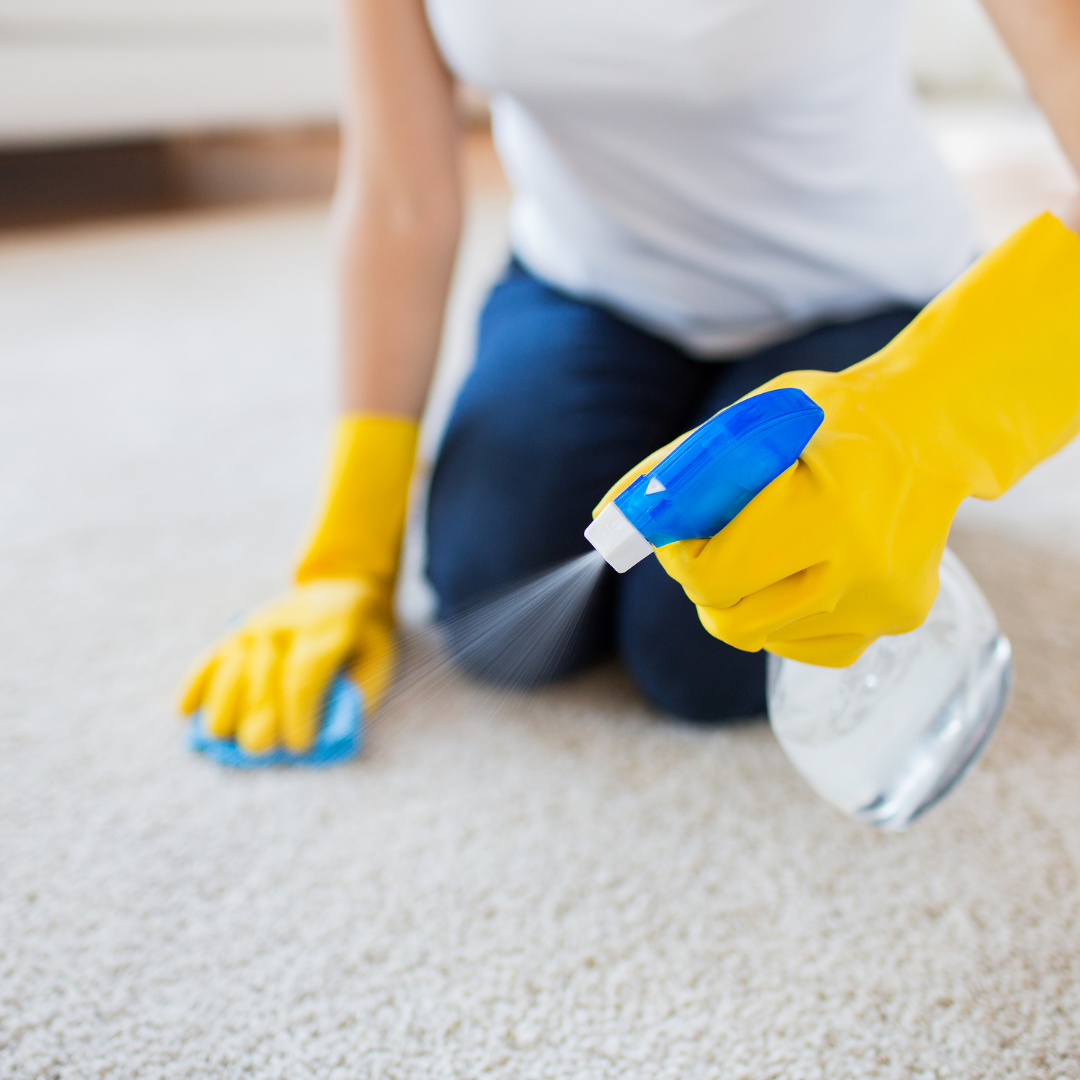Cada Detalle Cuenta: La Clave para un Hogar Impecable