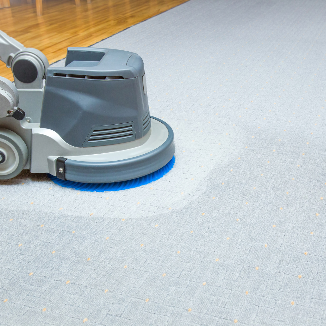 ¿Con Qué Frecuencia Debes Limpiar Tu Alfombra? Consejos de Full Alfombras