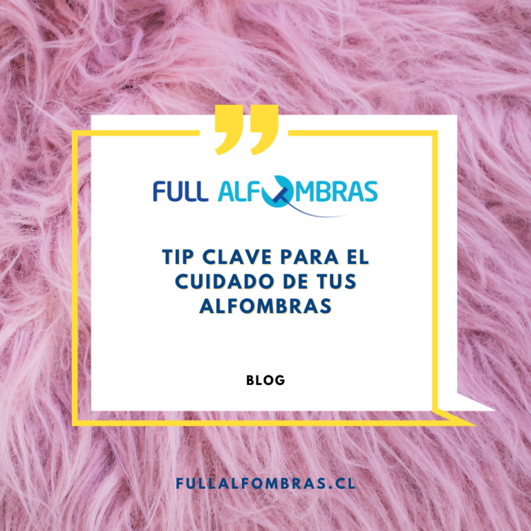 TIP CLAVE para el Cuidado de tus Alfombras